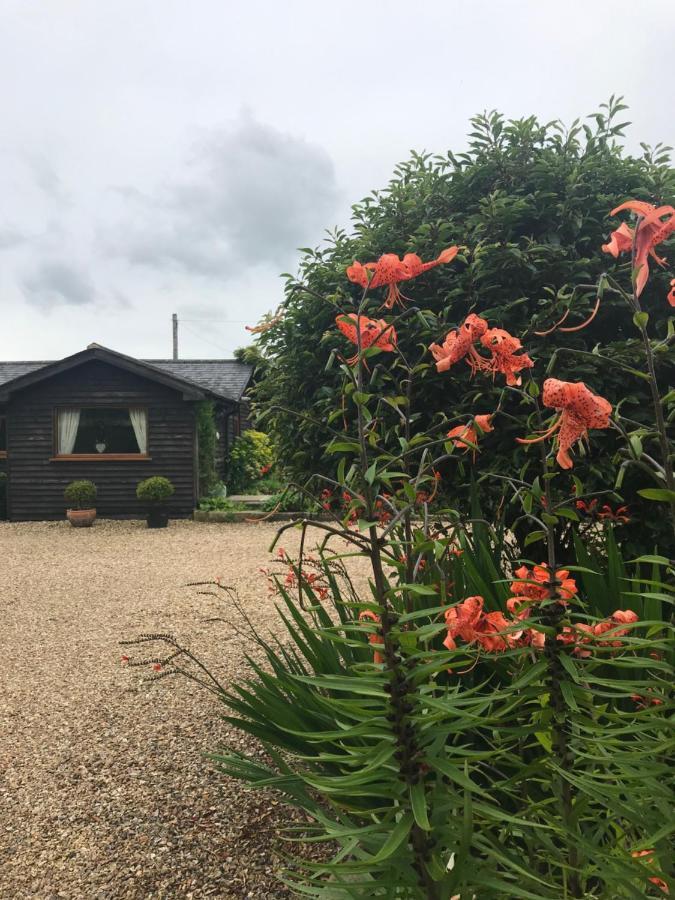 The Garden Cottage, Inglewhite Esterno foto